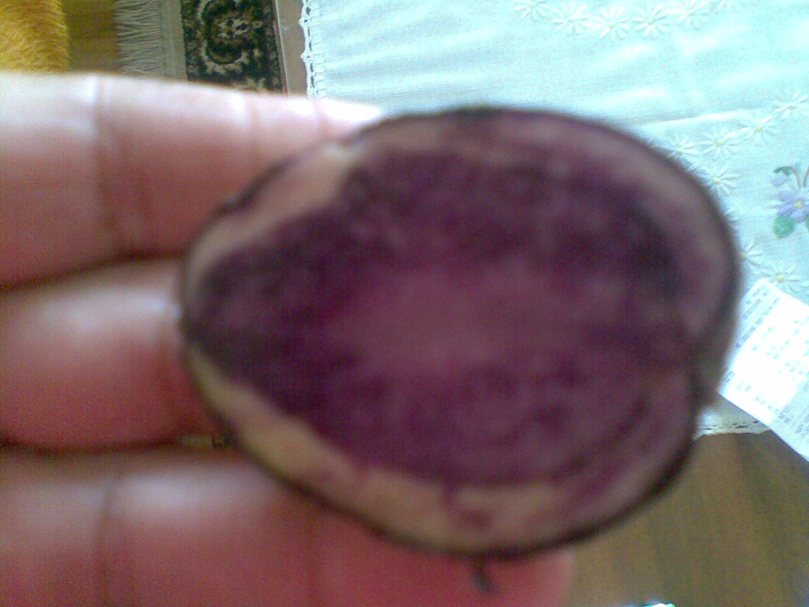 31072009.jpg